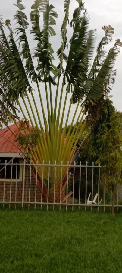 Zion Resort Bungoma Ngoại thất bức ảnh
